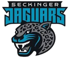 seckinger jaguars